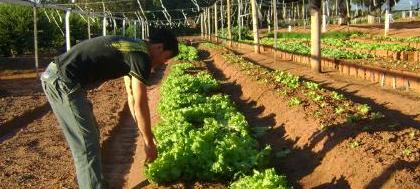 Comunidade Nova Vida pleiteia 30 leitos para SUS