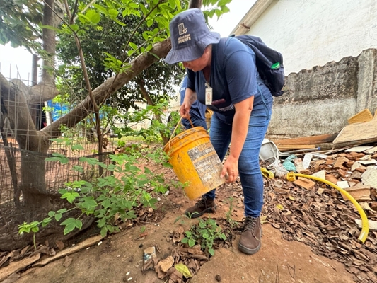 Os agentes de saúde percorrerão áreas de abrangência do bairro Cecap II contra a Dengue (Foto: Prefeitura de Votuporanga)