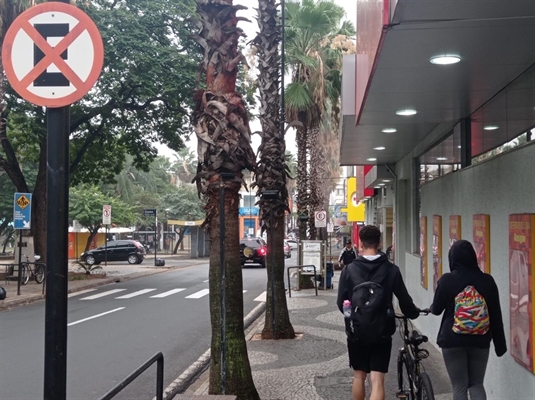 Para os cristãos, o Dia de Finados é uma data de respeito e memória dedicada àqueles que faleceram (Foto: A Cidade)