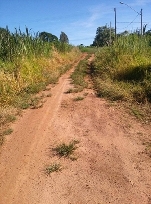 Moradores denunciam descaso na Vila Carvalho