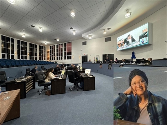 Projeto foi considerado inconstitucional por invadir competência da União, segundo justificativa da Prefeitura de Votuporanga (Foto: Assessoria)