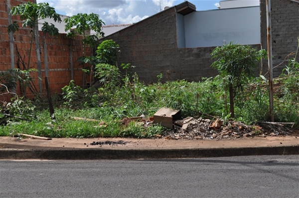 Proprietários de terrenos em Votuporanga têm até o próximo dia 1º para limpar os imóveis antes de serem multados (Foto: Prefeitura de Votuporanga)