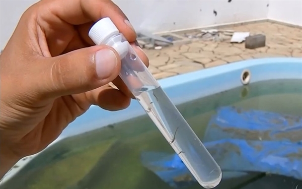 Rio Preto sofre com epidemia de dengue — Foto: Reprodução / TV TEM