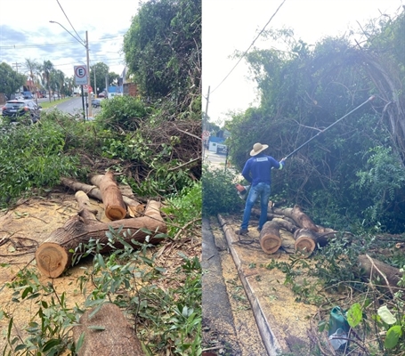 A forte chuva que atingiu Votuporanga entre a noite de domingo e a madrugada de ontem provocou estragos na cidade (Foto: Prefeitura de Votuporanga)