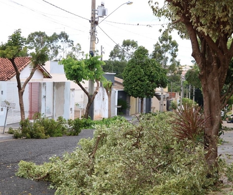 Nova fase do programa municipal de recapeamento foi iniciada com a preparação das ruas do Jardim Portal dos Lagos (Foto: Prefeitura de Votuporanga)