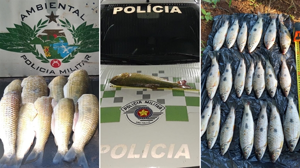 Polícia Ambiental aplicou multas de mais de R$3 mil em pescadores irregulares na região de Votuporanga neste fim de semana (Fotos: Divulgação/PM)