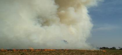 Com umidade a 6%, incêndio destrói 50 alqueires
