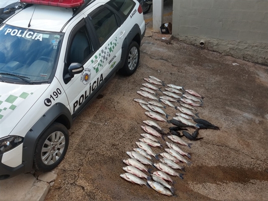Policiais encontraram três sacos com peixes das espécies Corimba, Piapara e Cascudo no veículo (Foto: Divulgação/Polícia Ambiental)