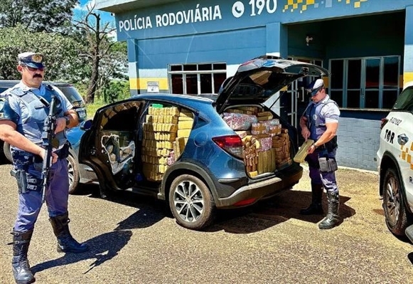 Operação apreendeu mais de uma tonelada de maconha despachada de Votuporanga para abastecer bocas de fumo na capital (Foto: Divulgação)