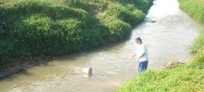 “Vida ao Marinheirinho” marca o Dia da Água 