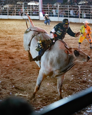 O atual campeão mundial de rodeio, Cássio Dias Barbosa, enfrentou o touro Relíquia da Patroa no ‘Desafio do Bem’ (Foto: Divulgação)