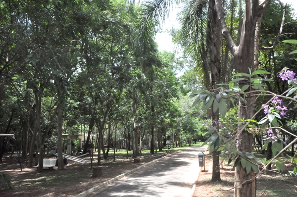 Saev destaca que qualquer iniciativa de ampliação do uso social do Horto Florestal precisa ser de maneira planejada, sustentável e em consonância com os princípios da conservação ambiental (Prefeitura de Votuporanga)