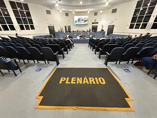 Onze dos 15 vereadores de Votuporanga assinaram um pedido para uma audiência pública sobre a aplicação do ECA na cidade (Foto: A Cidade)