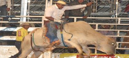 Rodeio vai trazer peões e tropas conhecidas no país