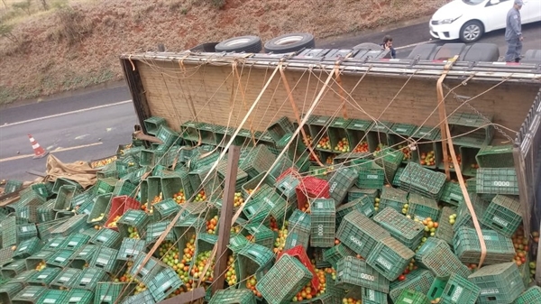 Caminhão carregado com tomate tombou na BR-153 perto de José Bonifácio — Foto: Arquivo Pessoal