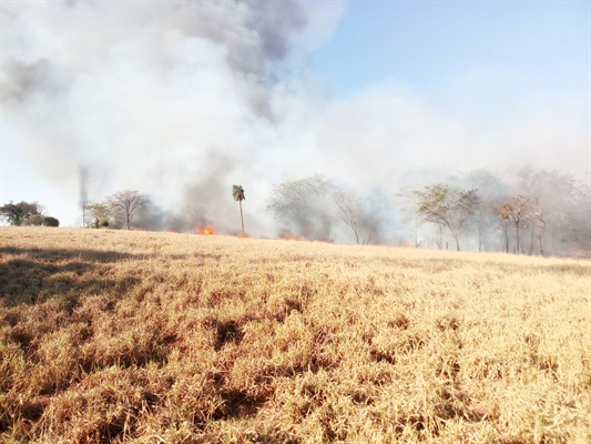 Incêndio de proporção gigante atinge Votuporanga (Foto: Defesa Civil)