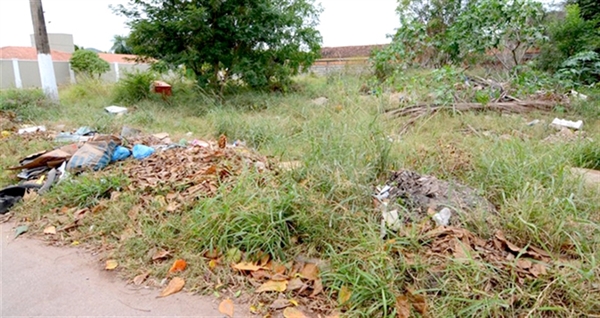 Proprietários de terrenos em Votuporanga têm até o próximo dia 1º para limpar os imóveis (Foto: Prefeitura de Votuporanga)