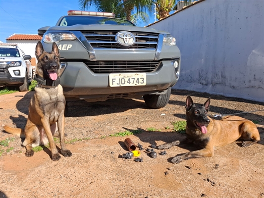 Mandados expedidos pela Justiça de Votuporanga resultaram em prisões, apreensão de drogas e desmantelamento de quadrilha (Foto: Divulgação)