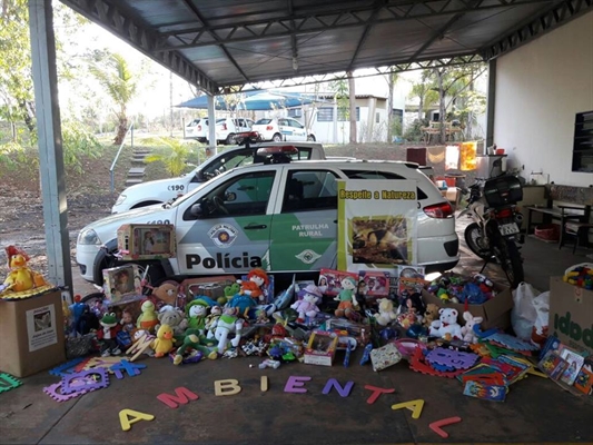 Brinquedos arrecadados pela Polícia Ambiental de Votuporanga (Foto: Divulgação/Polícia Ambiental)