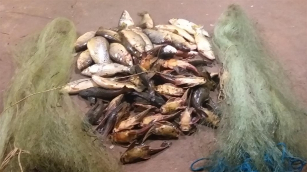 Policiais multaram os pescadores em R$4.080 cada, além de apreender os equipamentos e o pescado (Foto: Divulgação/Polícia Ambiental)