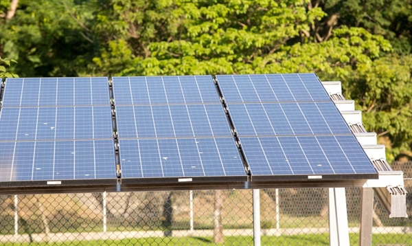 Usina de energia solar de Pedranópolis está à procura de mão de obra em Votuporanga e oferece 300 vagas de emprego (Foto: Soninha Vill/GIZ/Agência Brasil)