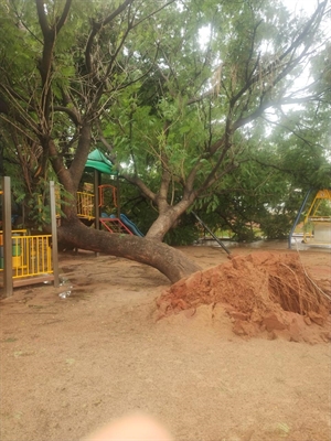 Votuporanga segue em alerta para tempestades e terá chuva por pelo menos mais uma semana (Foto: Prefeitura de Votuporanga)