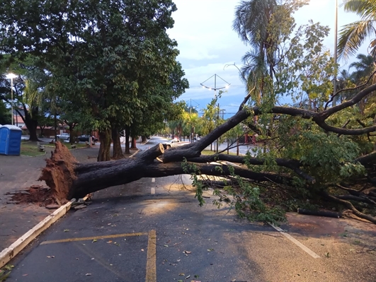 Temporal que atingiu Votuporanga causou estragos no Parque da Cultura e outros pontos da cidade; cidade segue em alerta (Foto: Prefeitura de Votuporanga)