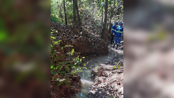 A ação consistiu em redesenhar o percurso da nascente que havia sido totalmente absorvida pelo solo (Foto: Saev Ambiental)