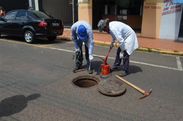 A expectativa da Saev é de que a intervenção seja em todo o município em um prazo de 60 a 90 dias (Foto: Saev Ambiental)