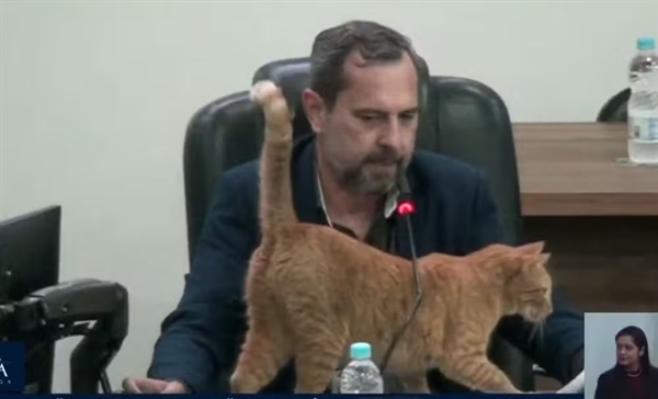 Daniel David sugere implantação de serviço municipal de resgate e atendimento veterinário a animais em situação de rua (Foto: Assessoria)