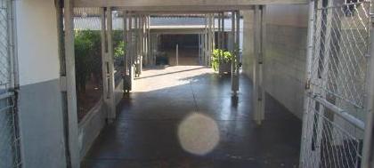 Prefeitura assina convênio para reforma do Orozimbo