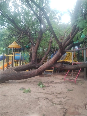 Fotos: Prefeitura de Votuporanga 