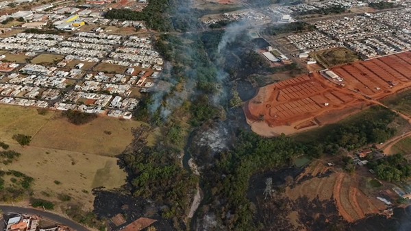 Um novo incêndio de grandes proporções devastou uma reserva ambiental nas proximidades do Pacaembu; animais silvestres morreram (Foto: Câmara Municipal)