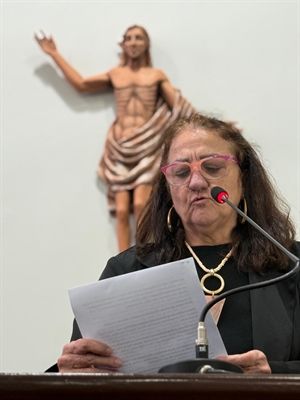 Débora Romani se desculpou durante a sessão de ontem da Câmara e teve a representação contra ela retirada da Comissão de Ética (Foto: Assessoria)