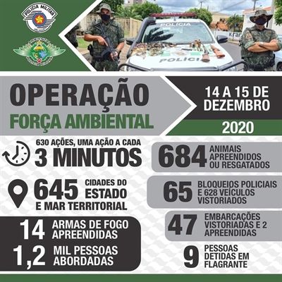 PM Ambiental divulga os resultados da ‘Operação Força Ambiental’, em comemoração aos 71 anos da corporação  (Foto: Divulgação)