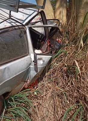 O carro que Manoel Gomes da Silva dirigia saiu da pista e bateu contra uma árvore em Cardoso; ele morreu após quatro dias internado (Foto: Reprodução)