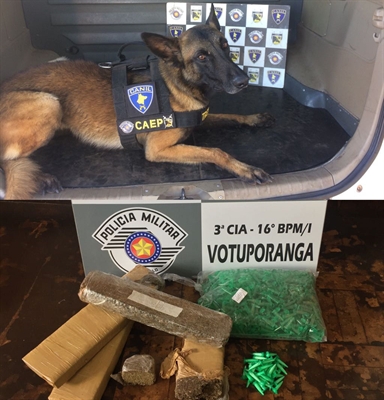 No total, foram apreendidos 3.236 kg de maconha e 43 pinos contendo cocaína Foto: Divulgação/Polícia Militar 