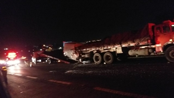 Vacas provocam acidente e homem morre em rodovia de Catanduva