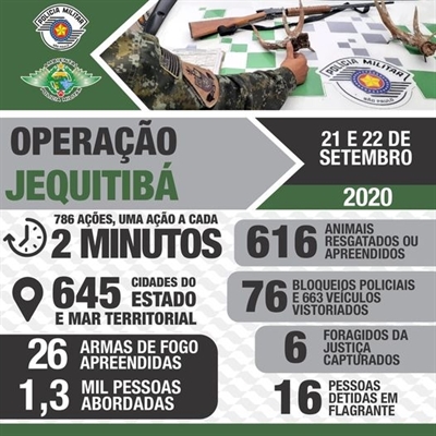 (Foto: Divulgação/Polícia Ambiental)