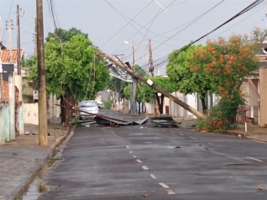 Segundo o Corpo de Bombeiros, a chuva forte durou cerca de 40 minutos e, de acordo com a Defesa Civil, provocou a queda de 30 árvores (Foto: Arquivo pessoal)
