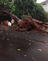 No bairro rural Vila Carvalho, local que mais sofre com os impactos causados pelas chuvas, a Elektro, informou por meio de nota que, mobilizou cinco equipes (Foto: Divulgação)