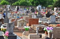 Jornal A Cidade fez um levantamento junto aos Boletins Epidemiológicos, elaborados pelo Departamento de Vigilância em Saúde, e constatou que o município registrou queda de 26,44% nas mortes causadas pela Covid-19 (Foto: A Cidade)