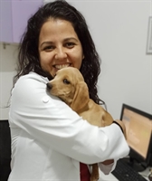 Dayane Lemos trouxe algumas orientações aos leitores do A Cidade sobre como manter os cuidados com os pets em passeios no verão  (Foto: Redes sociais)