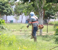Este trabalho segue em andamento desde os primeiros dias de janeiro (Foto: Prefeitura de Votuporanga)