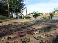O consumo de álcool e drogas por adolescentes e jovens no Parque da Cultura de Votuporanga tem se tornado frequente (Foto: Aline Ruiz/A Cidade)