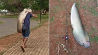 As fotos do peixe e do homem carregando-o nas costas viralizaram nas redes sociais no fim de semana, que geraram discussões (Fotos: Reprodução/Redes sociais)