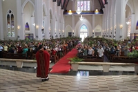 Fiéis católicos de Votuporanga devem levar seus ramos para a tradicional Missa de Ramos, amanhã na Catedral de Nossa Senhora (Foto: Diocese)