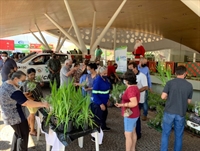 A Saev Ambiental realizou uma entrega de mudas na Concha Acústica em comemoração aos 53 anos da Autarquia  (Foto: A Cidade)