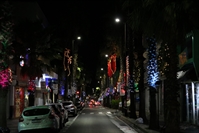 Os enfeites natalinos já decoram as ruas da área central da cidade e também o Parque da Cultura (Foto: Prefeitura de Votuporanga)