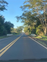 Motorista sofre acidente após pneu estourar na rodovia Péricles Belini 